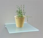 8 mm Glasregal QUADRAT 30x30 cm satiniert mit Wandprofil LINO8